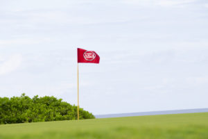 Tournament Organizations Postpone 2020 Schedules