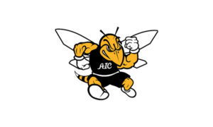Program Spotlight: AIC