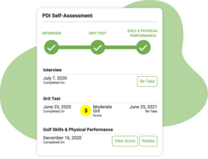 PDI Self Assessment