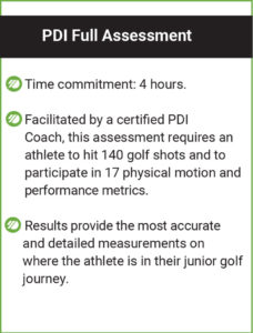 PDI Full Assessment