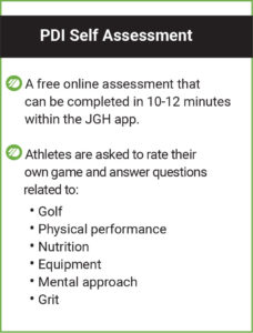 PDI Self Assessment
