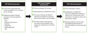 The 3 PDI Assessments